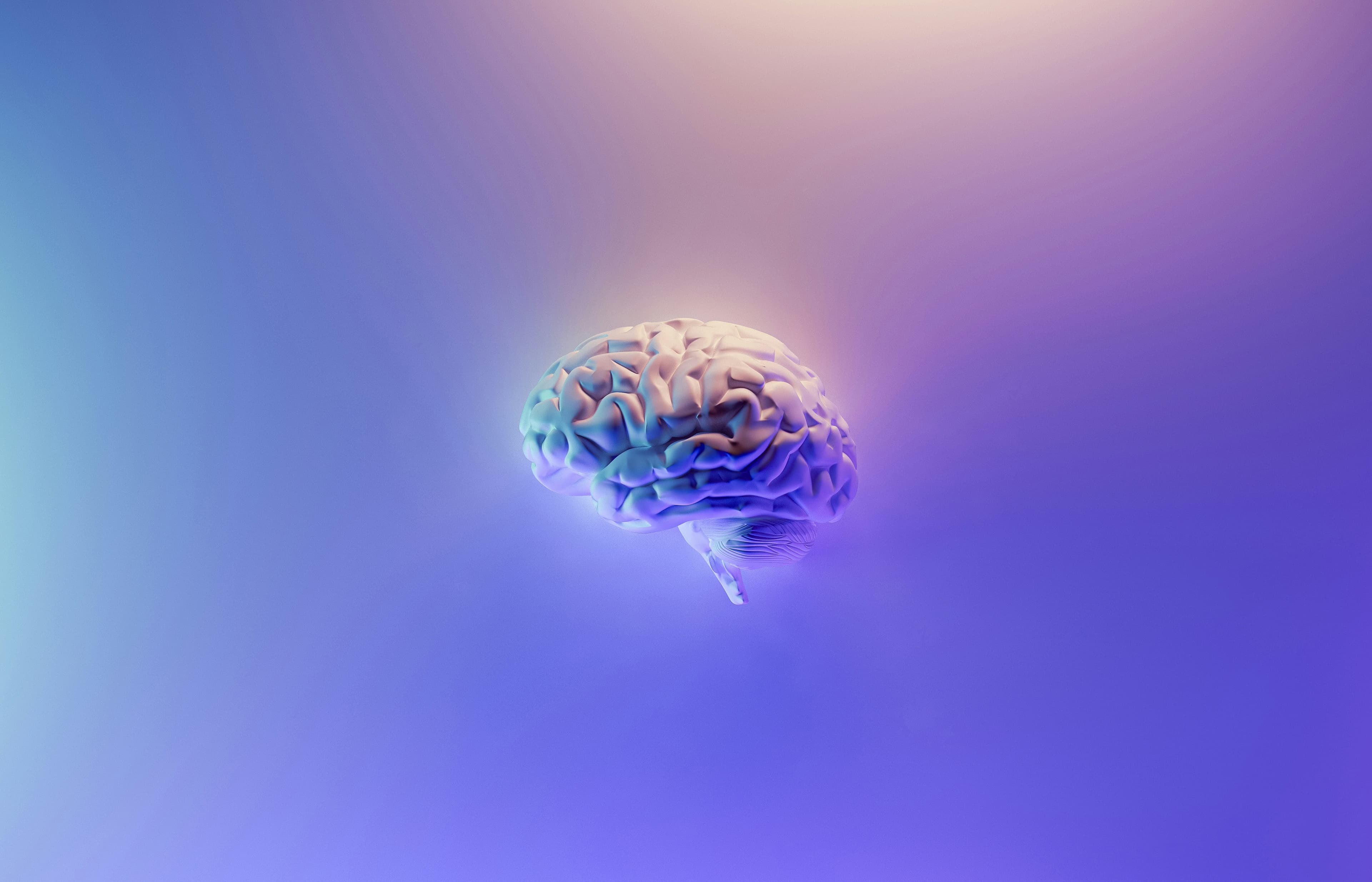 A 3D Rendered Brain On a Blue-ish Background